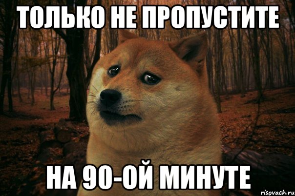 только не пропустите на 90-ой минуте, Мем SAD DOGE