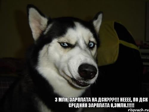 3 млн. зарплата на ДСК???!!! НЕЕЕЕ, по ДСК средняя зарплата 8,3млн.!!!!!, Комикс  Собака подозревака