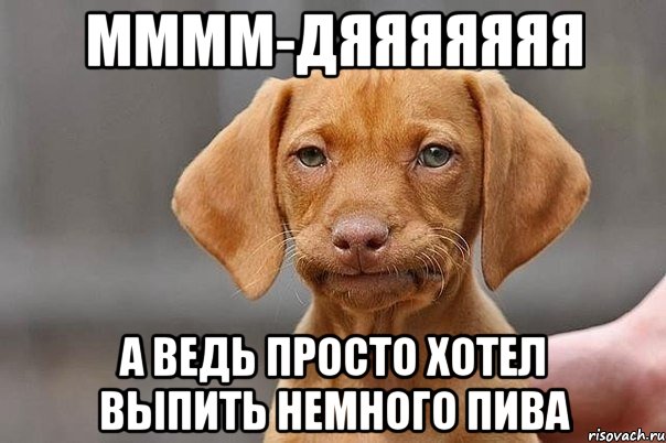 мммм-дяяяяяяя а ведь просто хотел выпить немного пива