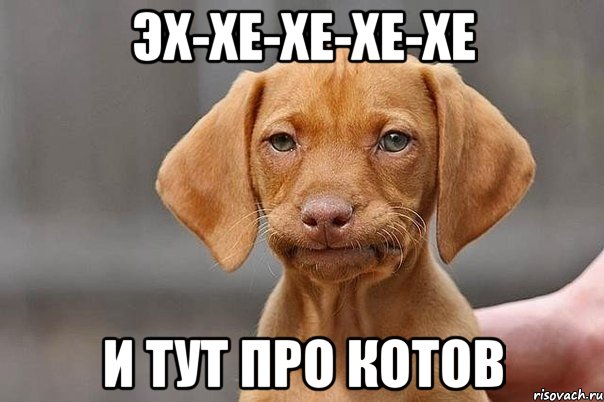 эх-хе-хе-хе-хе и тут про котов