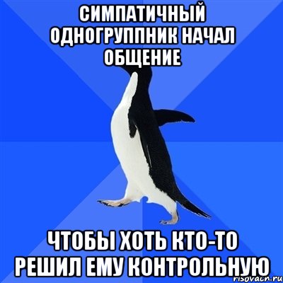 симпатичный одногруппник начал общение чтобы хоть кто-то решил ему контрольную, Мем  Социально-неуклюжий пингвин