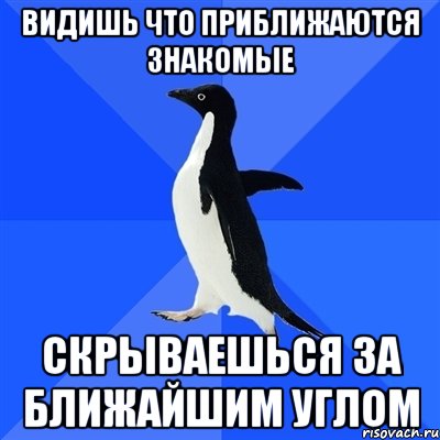 ВИДИШЬ ЧТО ПРИБЛИЖАЮТСЯ ЗНАКОМЫЕ СКРЫВАЕШЬСЯ ЗА БЛИЖАЙШИМ УГЛОМ, Мем  Социально-неуклюжий пингвин