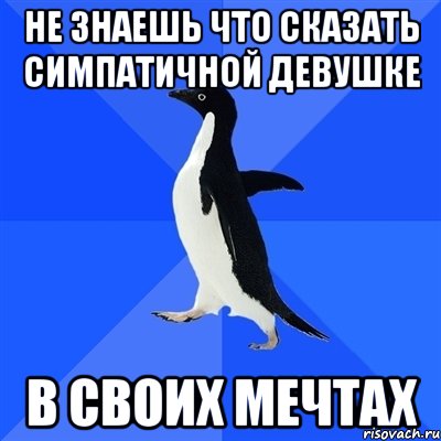 НЕ ЗНАЕШЬ ЧТО СКАЗАТЬ СИМПАТИЧНОЙ ДЕВУШКЕ В СВОИХ МЕЧТАХ, Мем  Социально-неуклюжий пингвин