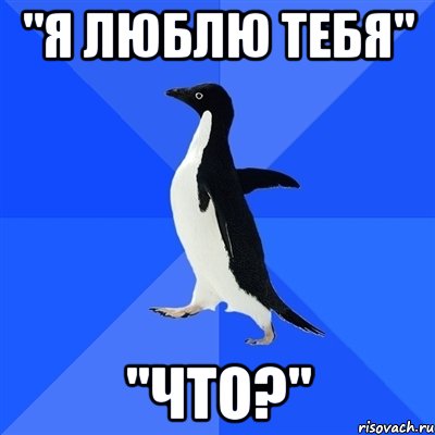 "я люблю тебя" "что?", Мем  Социально-неуклюжий пингвин