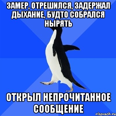 замер, отрешился, задержал дыхание, будто собрался нырять открыл непрочитанное сообщение, Мем  Социально-неуклюжий пингвин