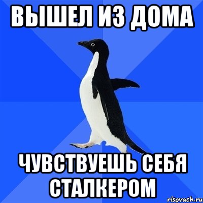 вышел из дома чувствуешь себя сталкером, Мем  Социально-неуклюжий пингвин