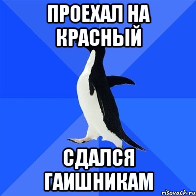 Проехал на красный Сдался гаишникам, Мем  Социально-неуклюжий пингвин