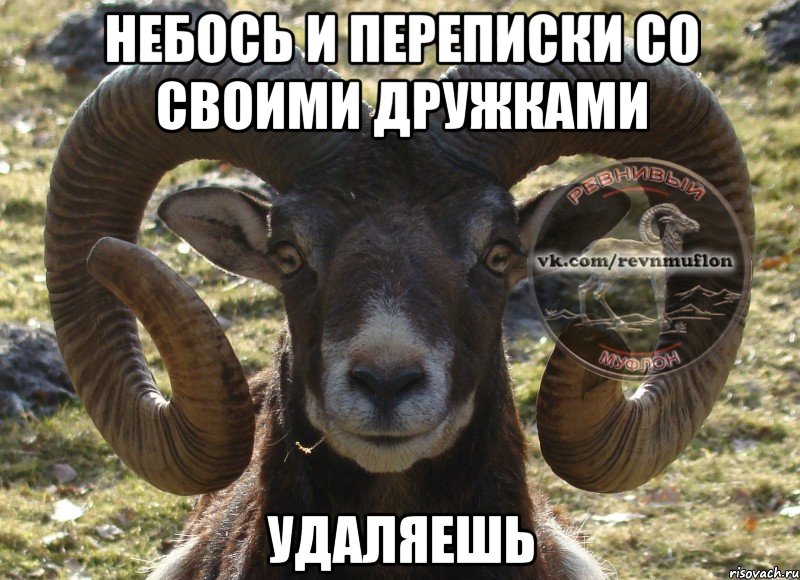 небось и переписки со своими дружками удаляешь