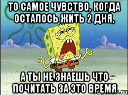 То самое чувство, когда осталось жить 2 дня, А ты не знаешь что почитать за это время, Мем Спанч Боб плачет