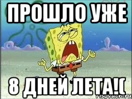 прошло уже 8 дней лета!(, Мем Спанч Боб плачет