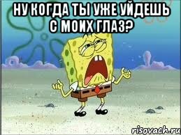 Ну когда ты уже уйдешь с моих глаз? , Мем Спанч Боб плачет