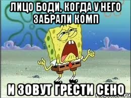 Лицо Боди, когда у него забрали комп и зовут грести сено, Мем Спанч Боб плачет