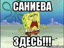 САНИЕВА ЗДЕСЬ!!!, Мем Спанч Боб плачет