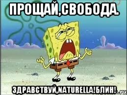 Прощай,свобода. Здравствуй,NATURELLA!Блин!, Мем Спанч Боб плачет