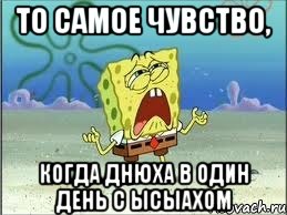 То самое чувство, Когда днюха в один день с Ысыахом, Мем Спанч Боб плачет