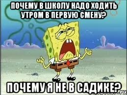 Почему в школу надо ходить утром в первую смену? Почему я не в Садике?, Мем Спанч Боб плачет