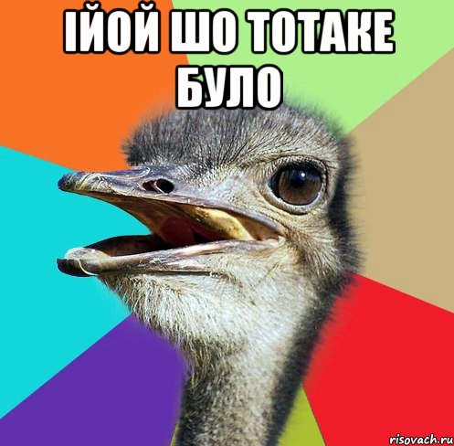 ійой шо тотаке було 