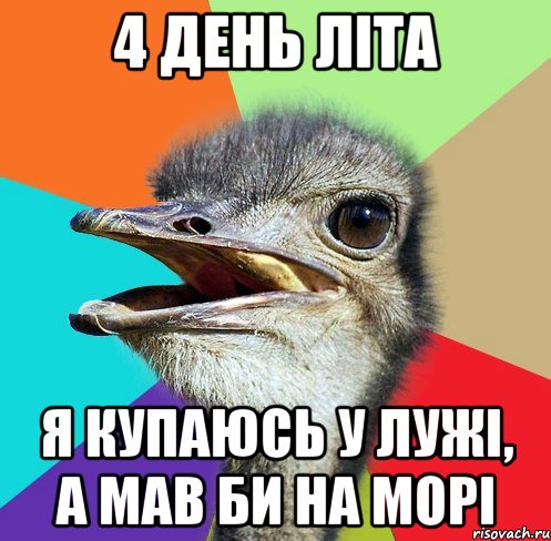 4 день літа я купаюсь у лужі, а мав би на морі