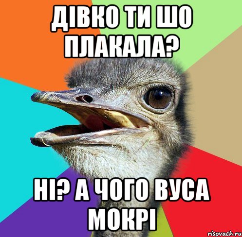 Дівко ти шо плакала? ні? а чого вуса мокрі