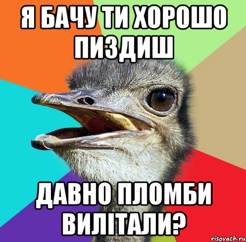 я бачу ти хорошо пиздиш давно пломби вилітали?