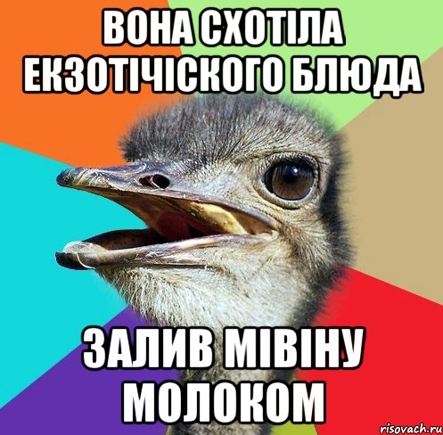 вона схотіла екзотічіского блюда залив мівіну молоком