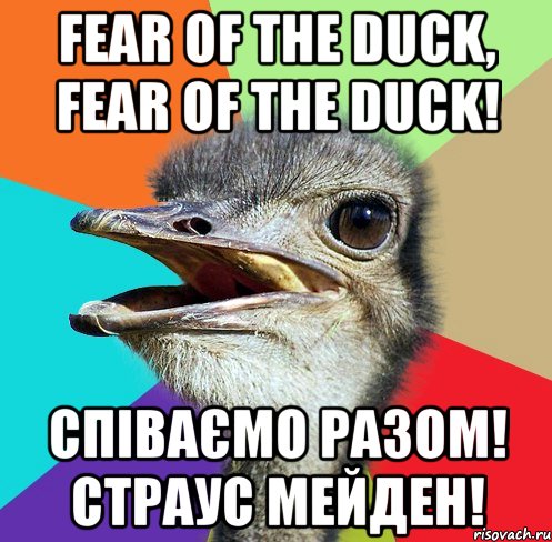Fear of the duck, fear of the duck! Співаємо разом! Страус Мейден!