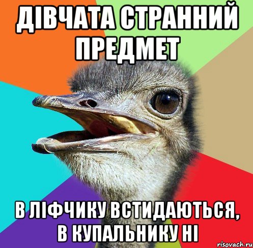 дівчата странний предмет в ліфчику встидаються, в купальнику ні