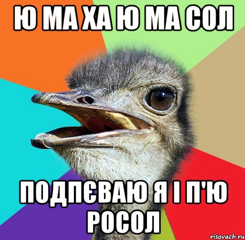 Ю ма ха ю ма сол Подпєваю я і п'ю росол