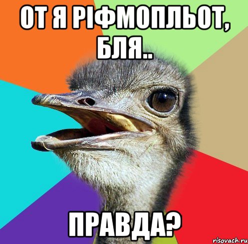 от я ріфмопльот, бля.. правда?