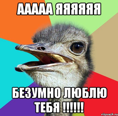 ааааа яяяяяя безумно люблю тебя !!!!!!