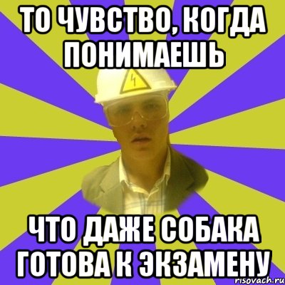то чувство, когда понимаешь что даже собака готова к экзамену, Мем Студент-Инженер