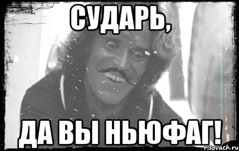 сударь, да Вы ньюфаг!, Мем СУдарь