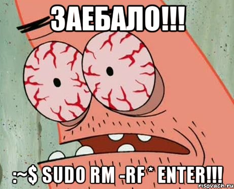 ЗАЕБАЛО!!! :~$ sudo rm -rf * ENTER!!!, Мем  Патрик в ужасе