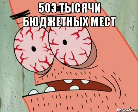 503 тысячи бюджетных мест 