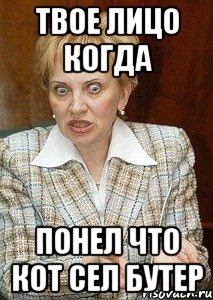 Твое лицо когда понел что кот сел бутер, Мем Судья Егорова