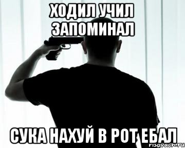 Ходил учил запоминал Сука нахуй в рот ебал, Мем Сука нахуй в рот ебал