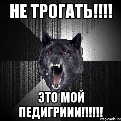 не трогать!!!! это мой педигриии!!!!!!, Мем Сумасшедший волк