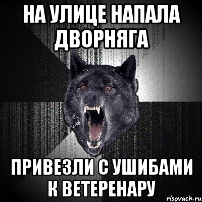 на улице напала дворняга привезли с ушибами к ветеренару, Мем Сумасшедший волк