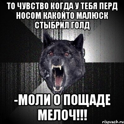 То чувство когда у тебя перд носом какойто малюск стыбрил Голд -моли о пощаде мелоч!!!, Мем Сумасшедший волк