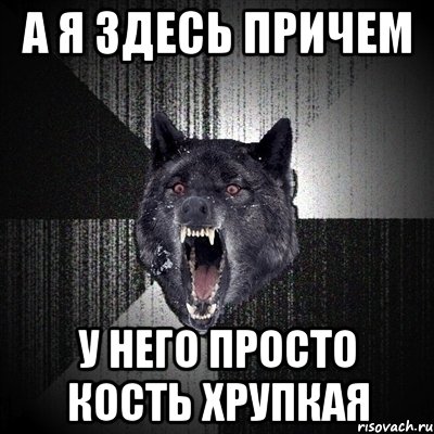 А Я ЗДЕСЬ ПРИЧЕМ У НЕГО ПРОСТО КОСТЬ ХРУПКАЯ, Мем Сумасшедший волк