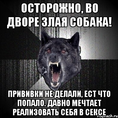 Осторожно, во дворе злая собака! Прививки не делали, ест что попало. Давно мечтает реализовать себя в сексе, Мем Сумасшедший волк