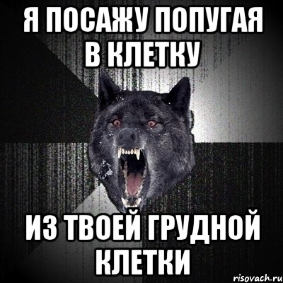 Я ПОСАЖУ ПОПУГАЯ В КЛЕТКУ ИЗ ТВОЕЙ ГРУДНОЙ КЛЕТКИ, Мем Сумасшедший волк