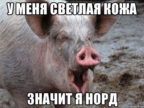 У МЕНЯ СВЕТЛАЯ КОЖА ЗНАЧИТ Я НОРД