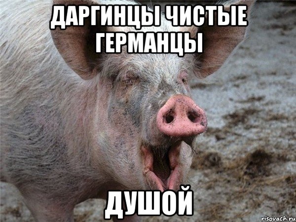 даргинцы чистые германцы ДУШОЙ