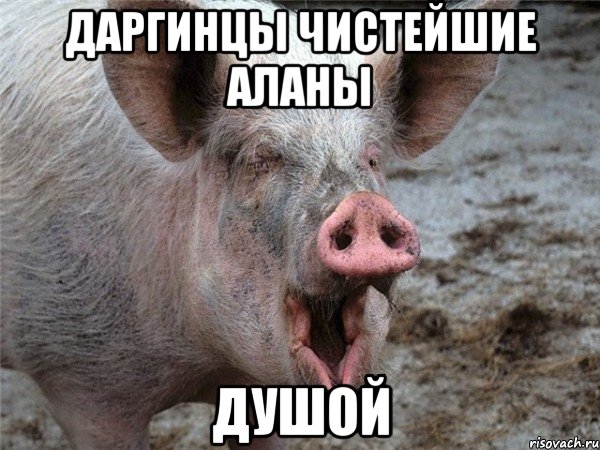 даргинцы чистейшие аланы ДУШОЙ