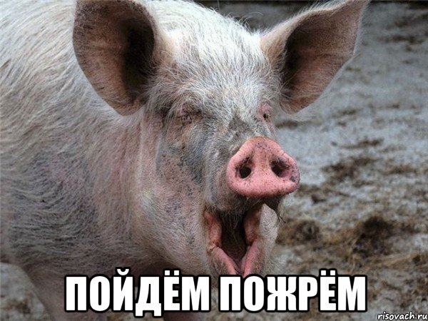  пойдём пожрём