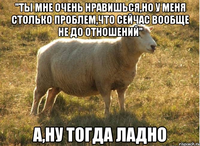 "Ты мне очень нравишься,но у меня столько проблем,что сейчас вообще не до отношений" А,ну тогда ладно, Мем Типичная овца