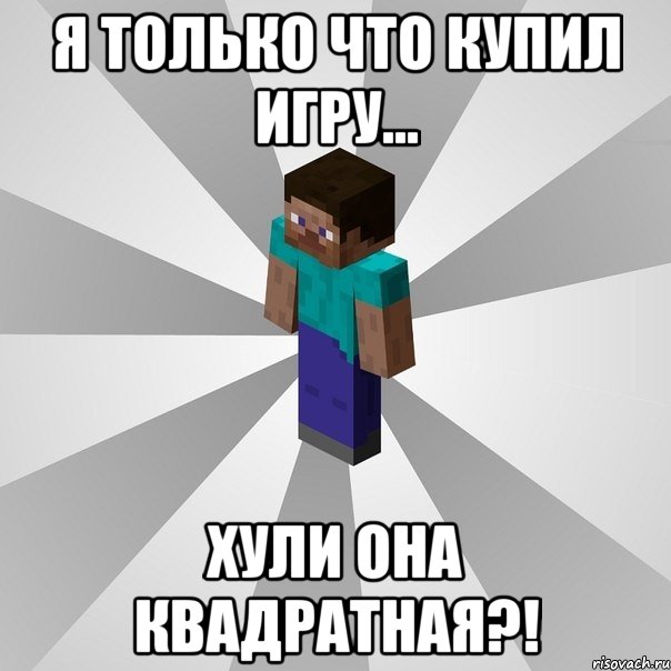 Я только что купил игру... ХУЛИ ОНА КВАДРАТНАЯ?!, Мем Типичный игрок Minecraft