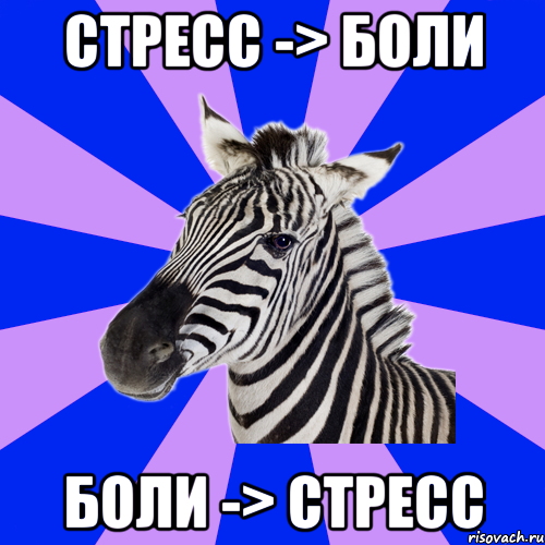 стресс -> боли боли -> стресс