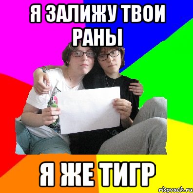 я залижу твои раны я же тигр